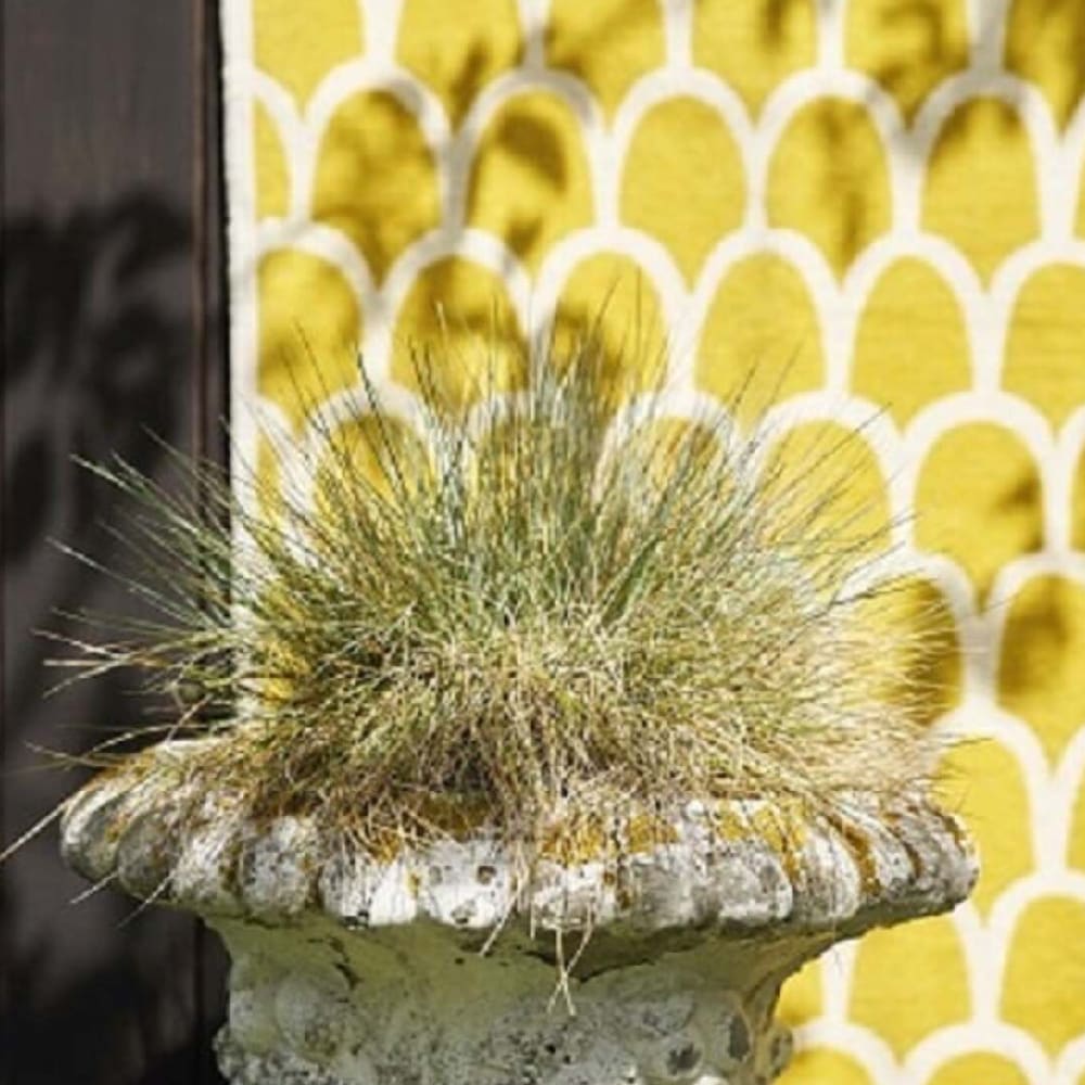 Feathers - Chenille - Amarillo3