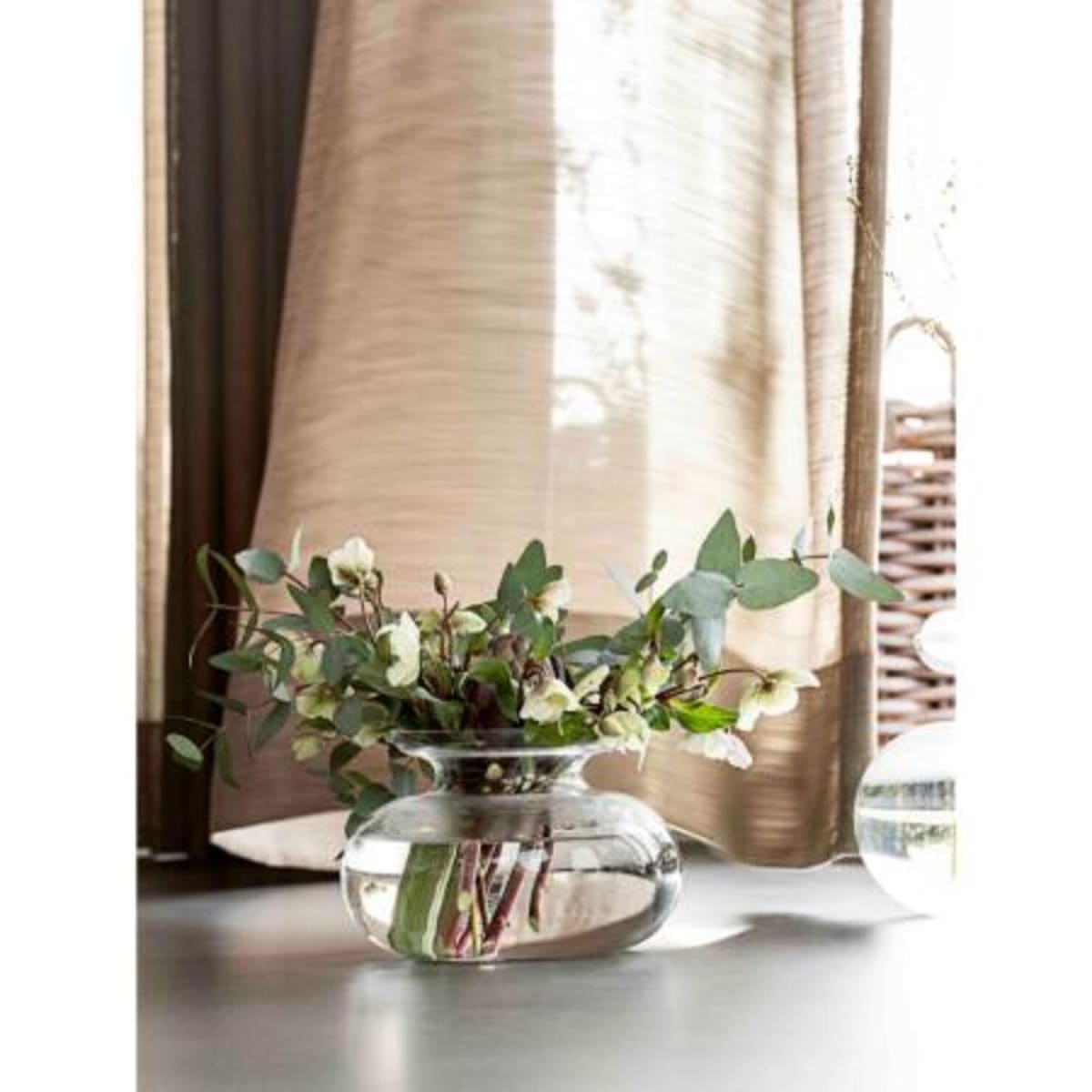 Inu - Florero Grande - Transparente7