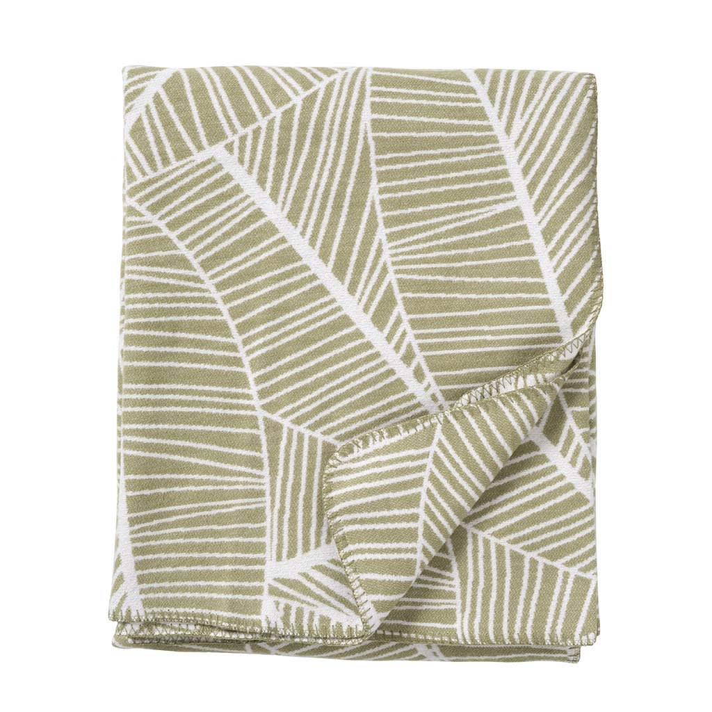 Plant - Verde1
