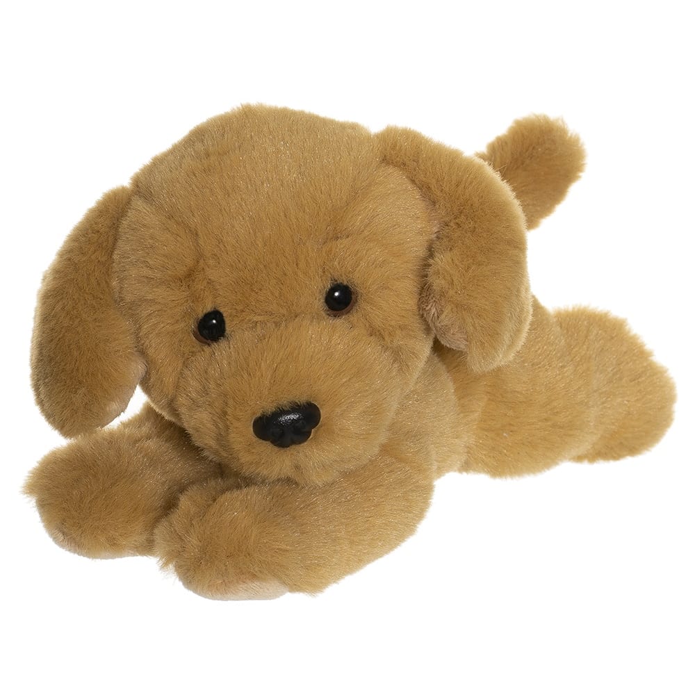 Perro cachorro4