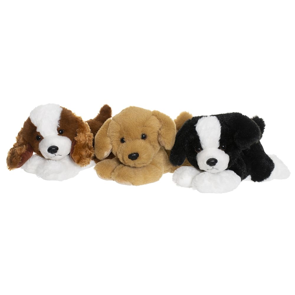 Perro cachorro3