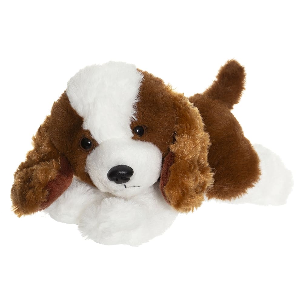 Perro cachorro2