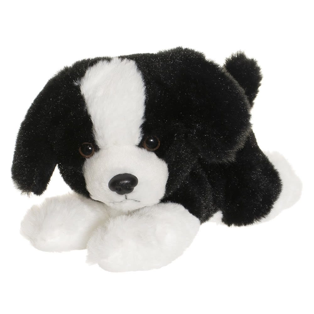 Perro cachorro1