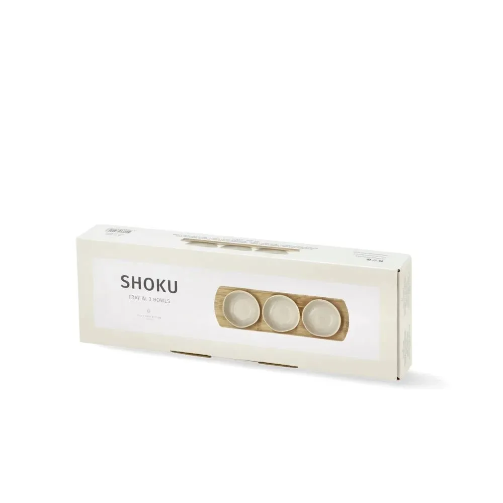 Set de 3 bowl con bandeja - Shoku4