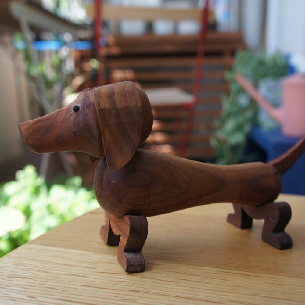 Perro salchicha.6