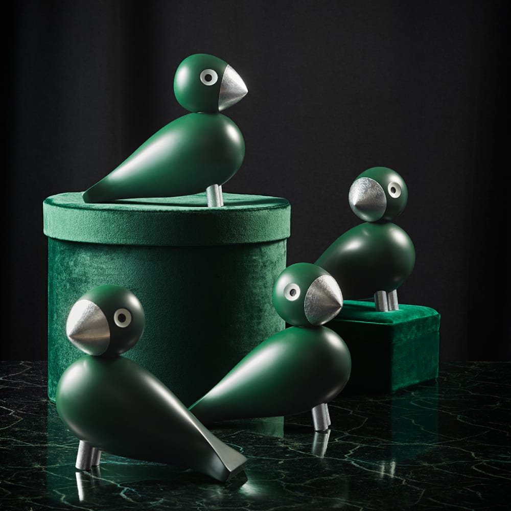 Pajaro cantor - Georg.5