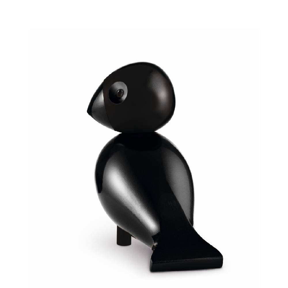 Pajaro cantor - Ravn Grande3