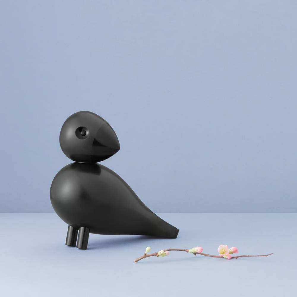 Pajaro cantor - Ravn5