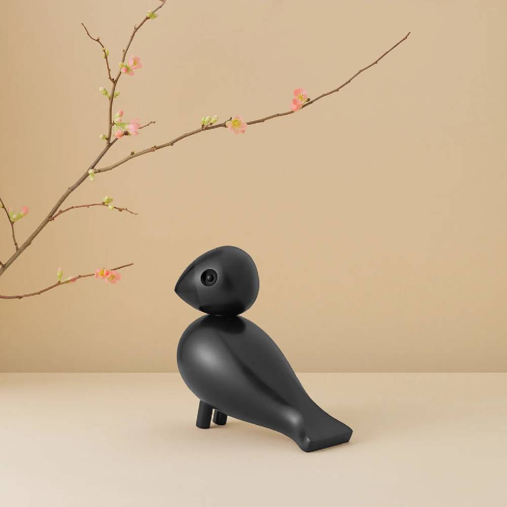 Pajaro cantor - Ravn6