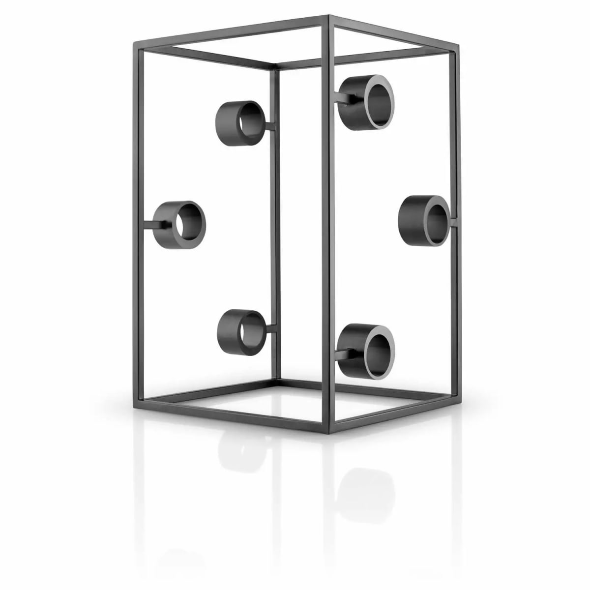 Cubo de vino - Cocina nórdica3