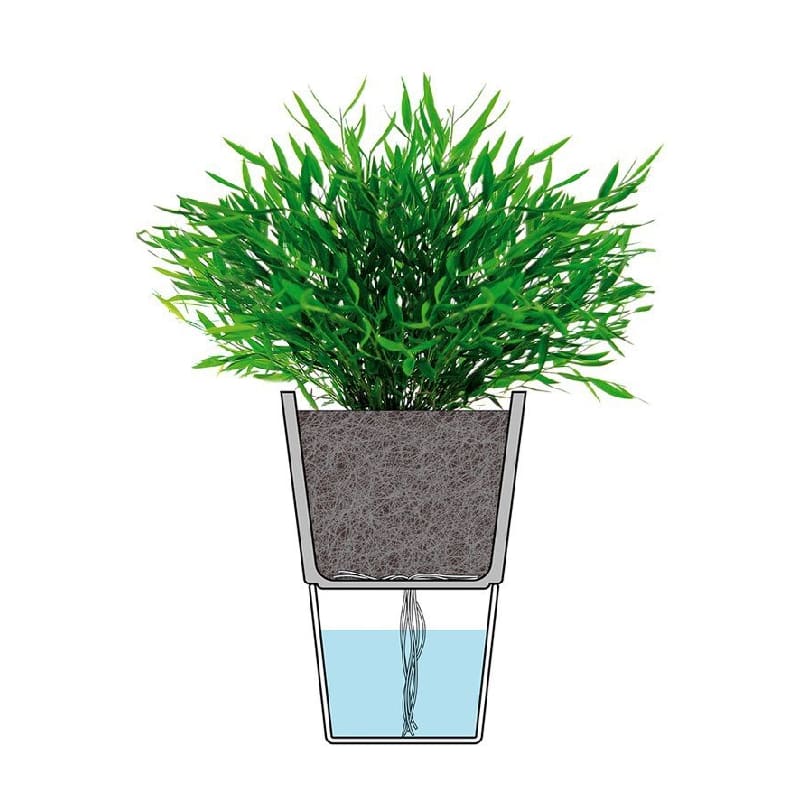 Macetero Auto Riego -11cm - Blanco3