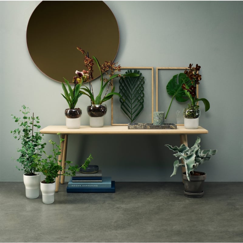 Macetero para Orquideas - Ø 15 cm1