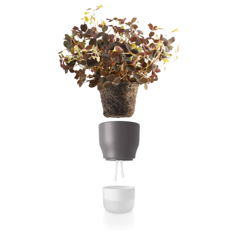 Macetero Autoregante Pot - 9 cm - Gris1
