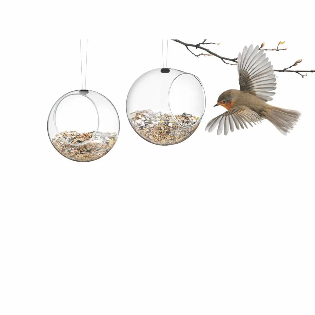 Alimentador de Aves - 2pcs2