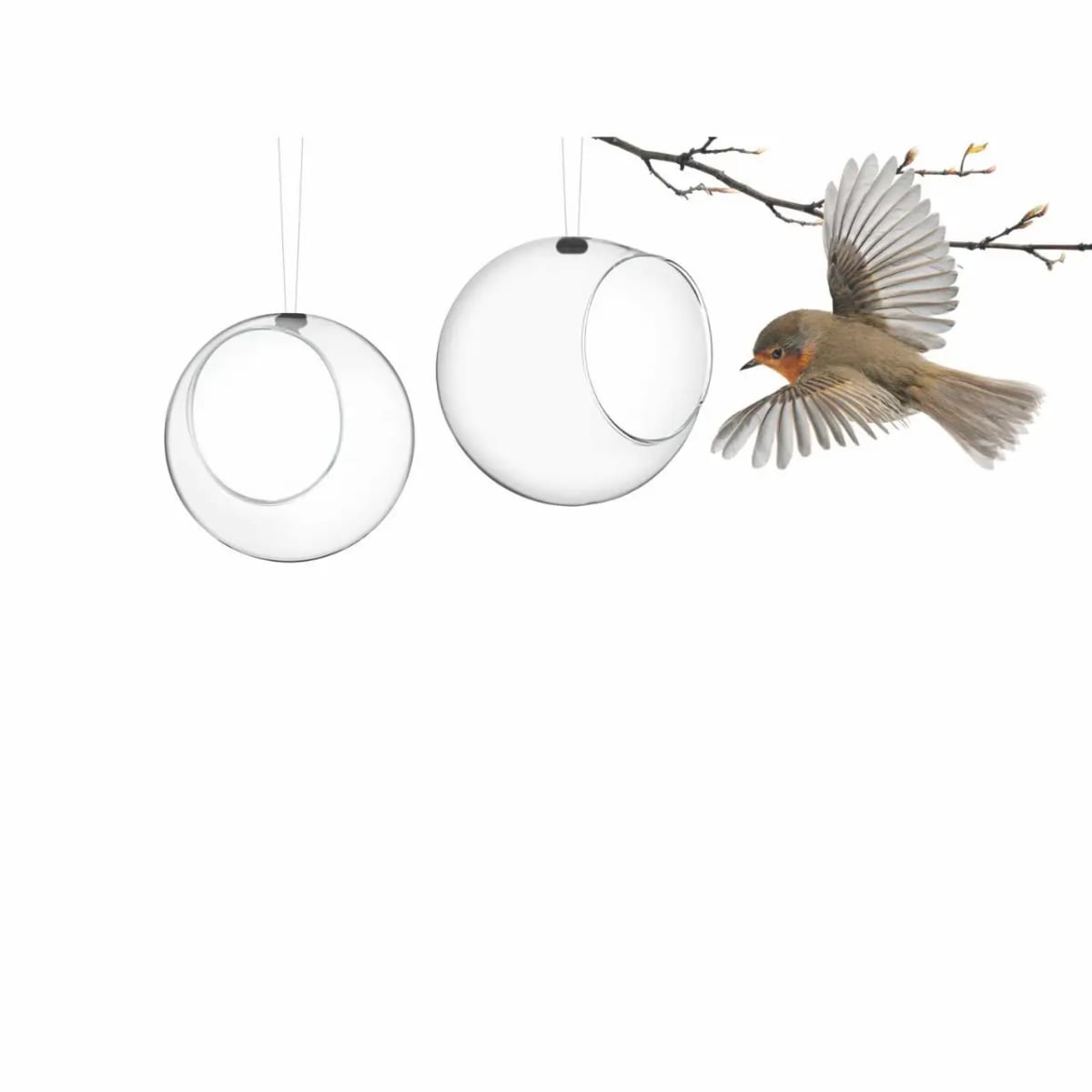 Alimentador de Aves - 2pcs3