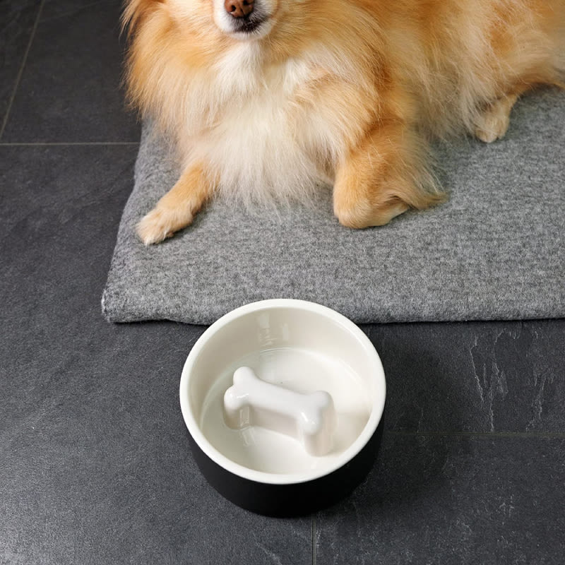 Plato para Comida de Mascotas - Mediano Negro1
