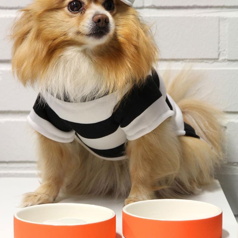 Plato para Agua de Mascotas - pequeño Naranja2
