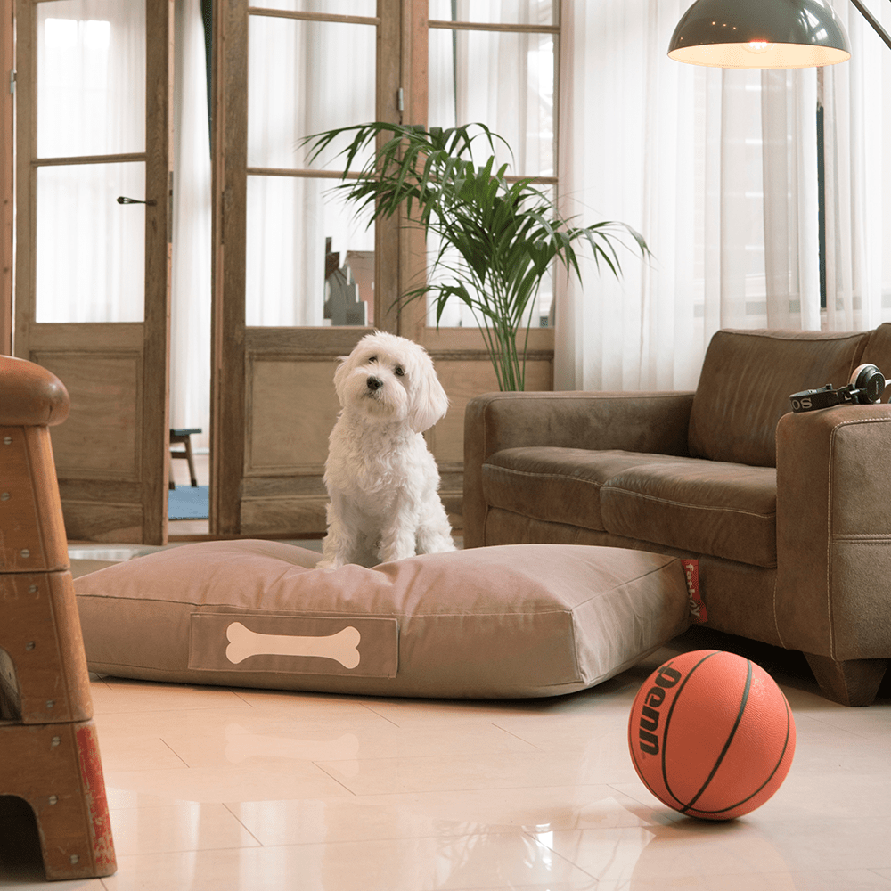 Cama de Perro Fatboy Doggielounge - Stonewash Pequeño Crema2