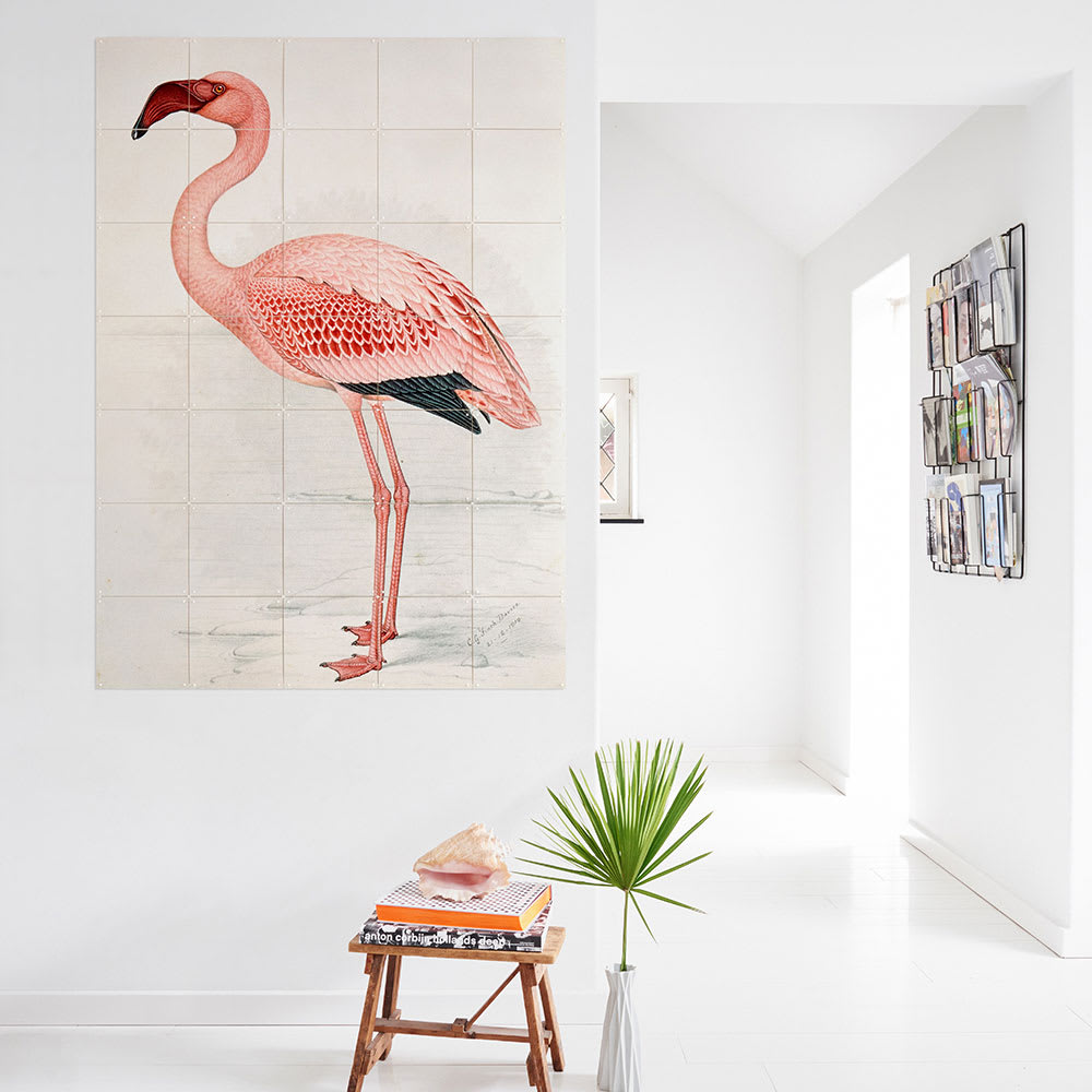 Mural IXXI Flamingo Finch Davies Large2