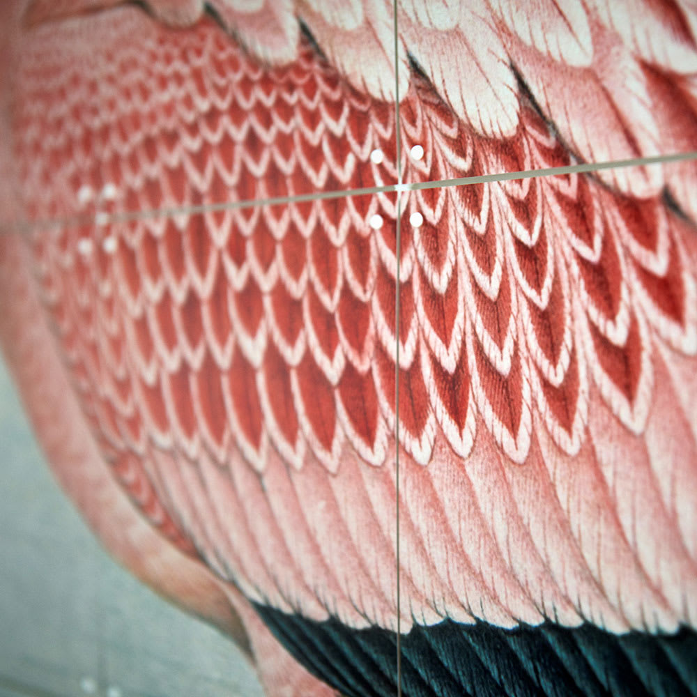 Mural IXXI Flamingo Finch Davies Small2