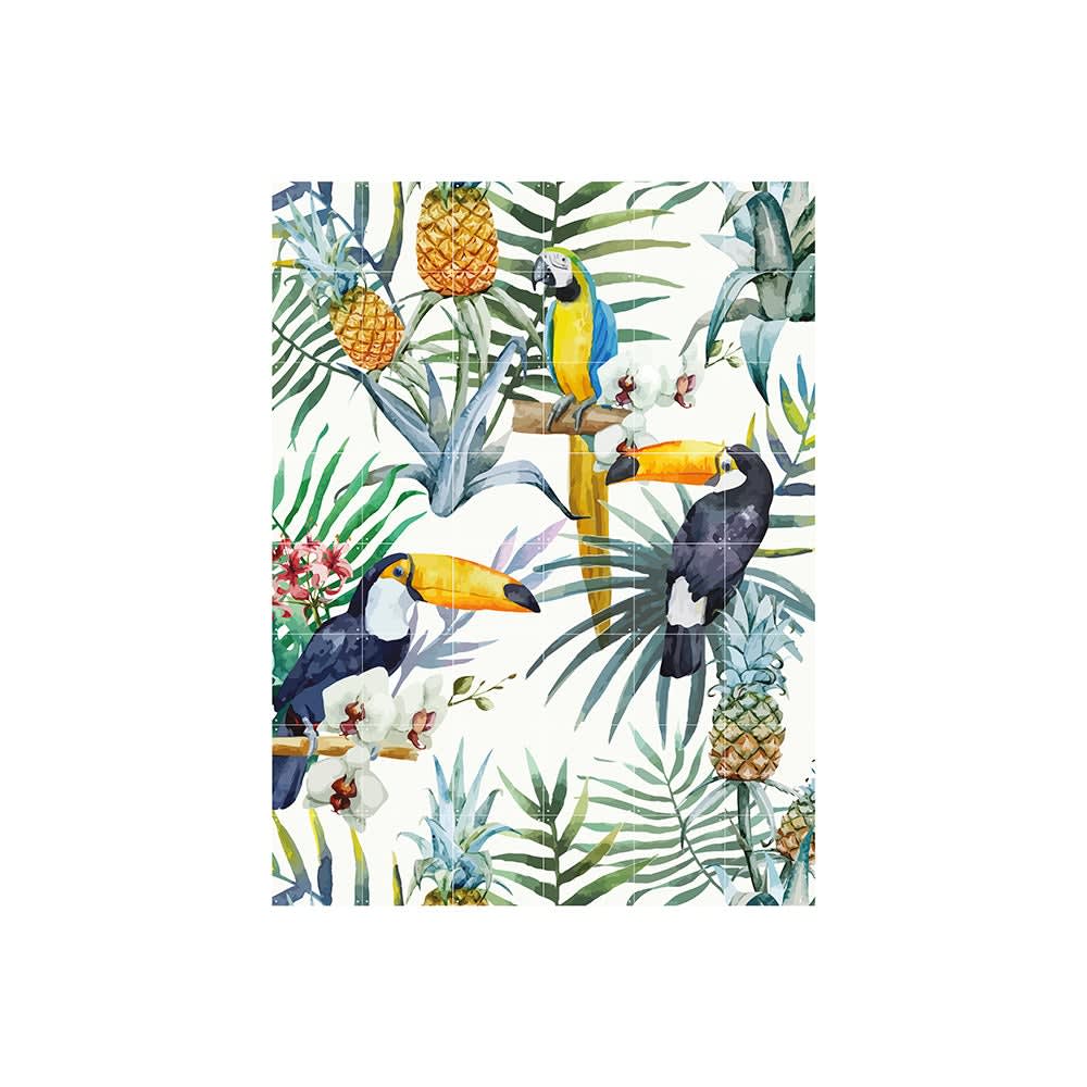 Mural IXXI - Tiger jungle & Toucan family - Doble Cara - Grande5