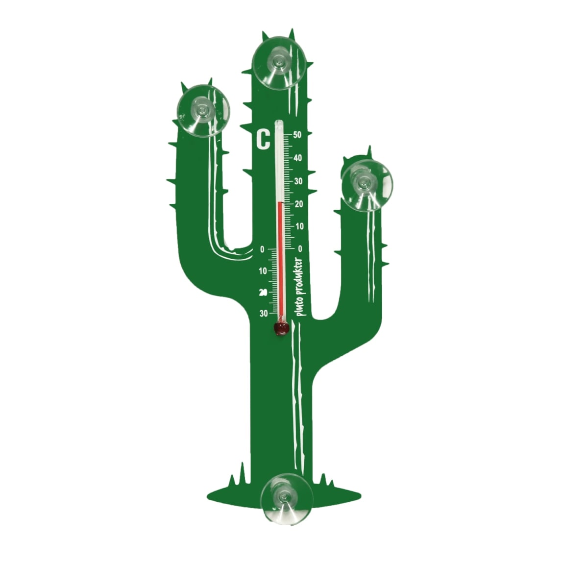 Termometro - Cactus2