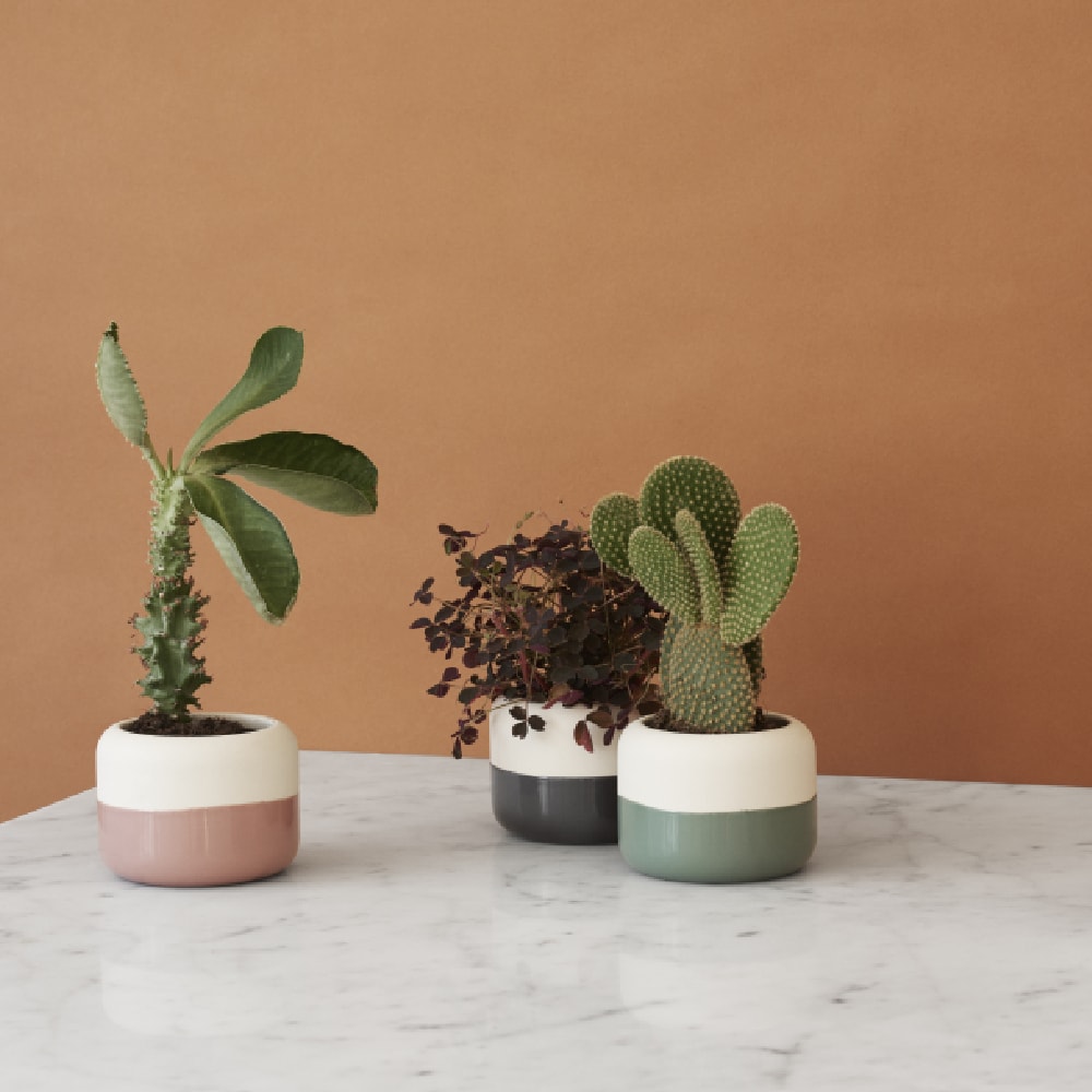 Macetero PLANT-IT - Grey1