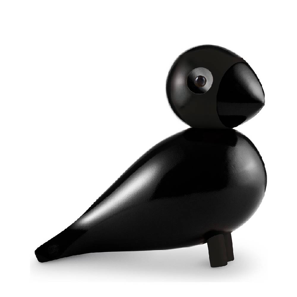 Pajaro cantor - Ravn Grande1