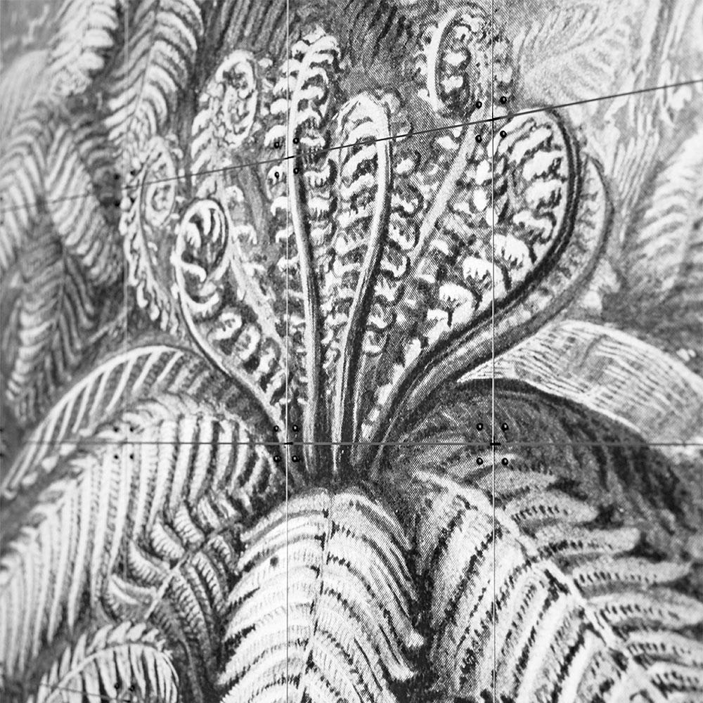 Mural IXXI Ferns - Large3