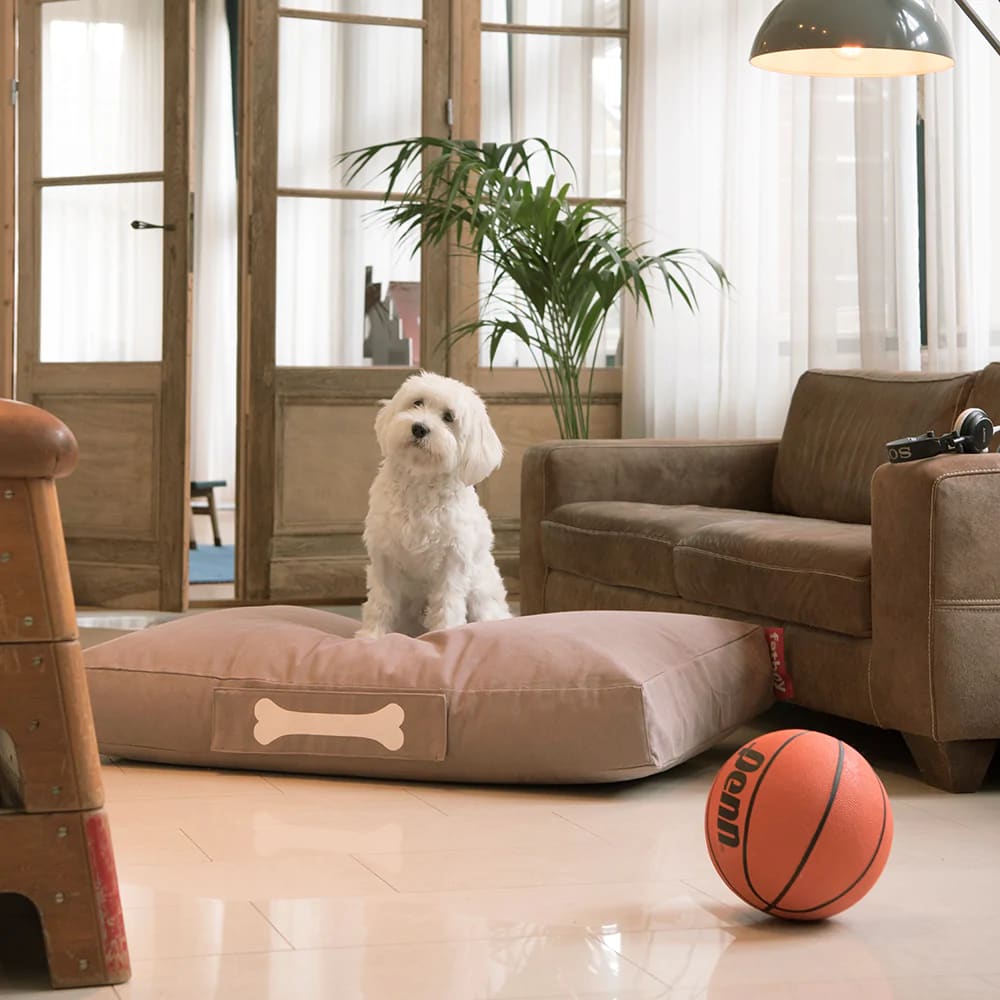 Cama de Perro Fatboy Doggielounge Small Stonewash Grey2
