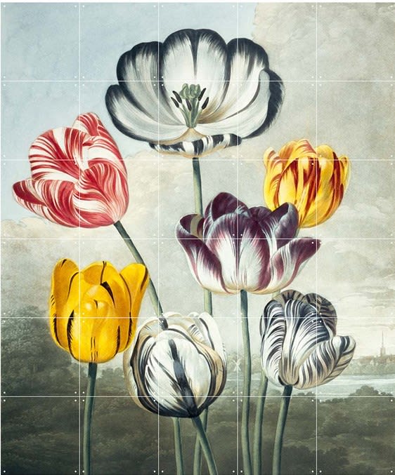 Mural IXXI Tulips2