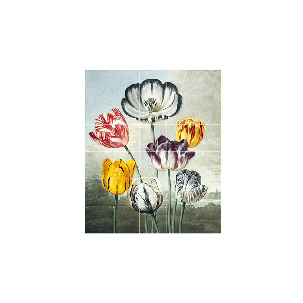 Mural IXXI Tulips1