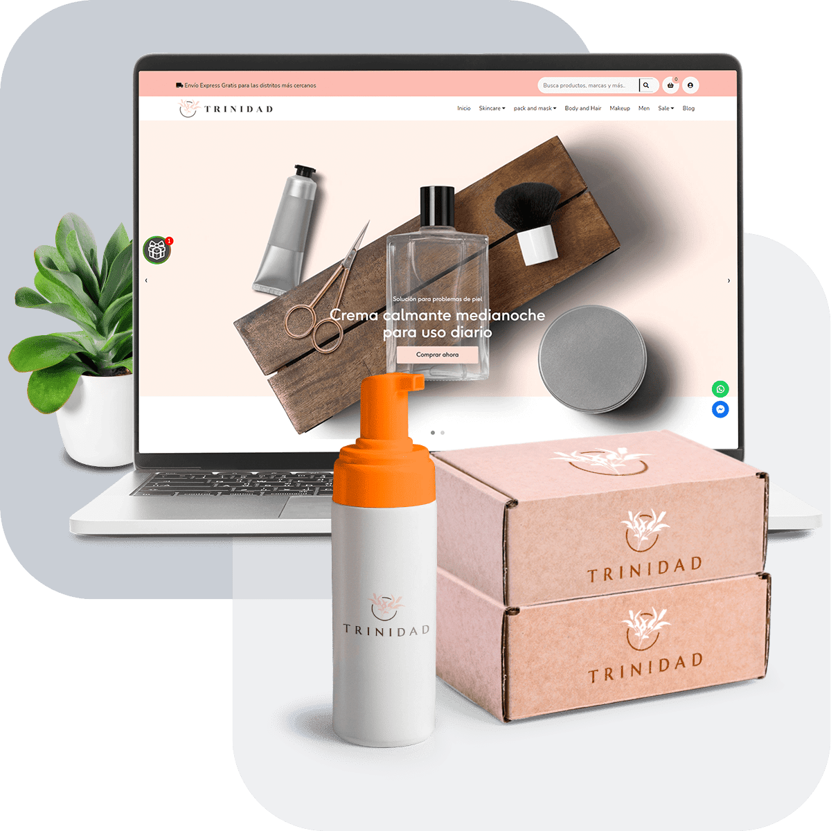 Plan Bsale Ecommerce1