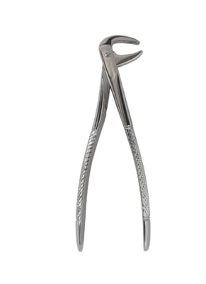 Forceps Curvo S/Borde Mediano Premolar y Caninos1