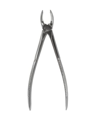 Forceps Ingles Grueso doble espolon