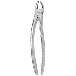 Forcep adulto N° 19 ingles grueso sin espolon1