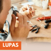 Lupas