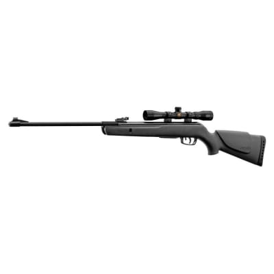RIFLE GAMO BIG CAT 1000E IGT