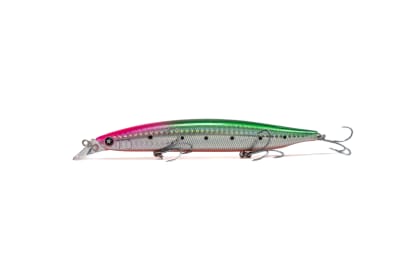 SAKANA SHIZUOKA CARIBEAN1