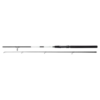 CAÑA DAM BASE X-SPIN 180cm