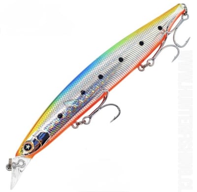SAKANA SHIZUOKA RAINBOW