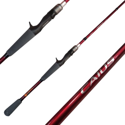 SHIMANO CAIUS 210CM2