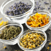 HIERBAS MEDICINALES