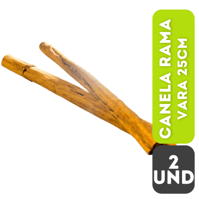 CANELA RAMA 2 UN