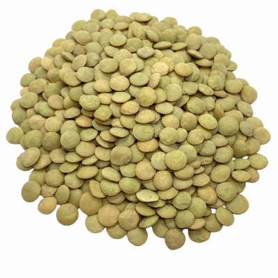 LENTEJA 6MM LAIRD  500GR