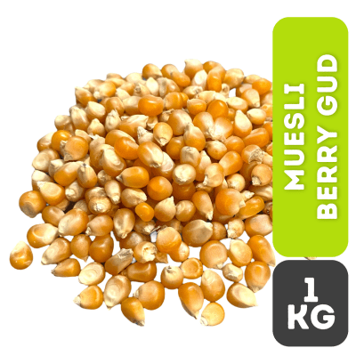 MAÍZ CURAGUA 1KG