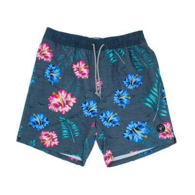 VOLLEY VEECE TWOHOUSE1