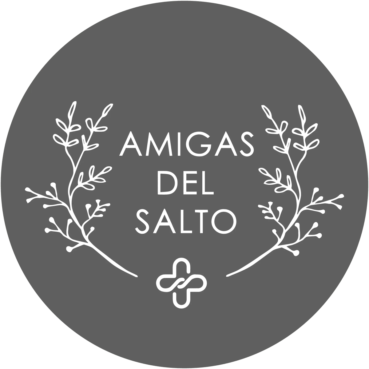 AMIGAS DEL SALTO