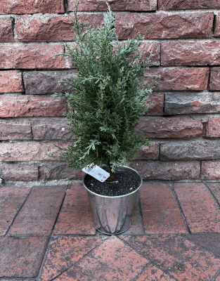 NAVIDAD ARBOL DECO LATON