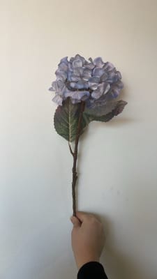 FLOR HORTENSIA HYDRA CERULEO